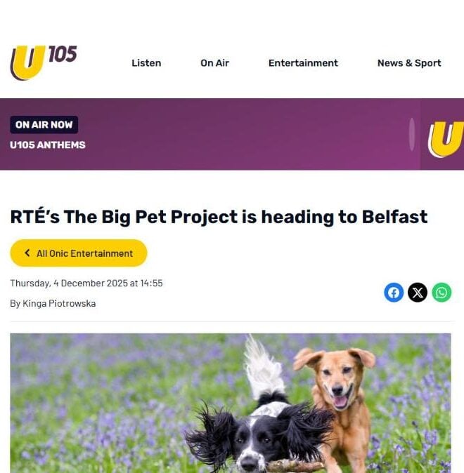 U105 article on The Big Pet Project heading to Belfast
